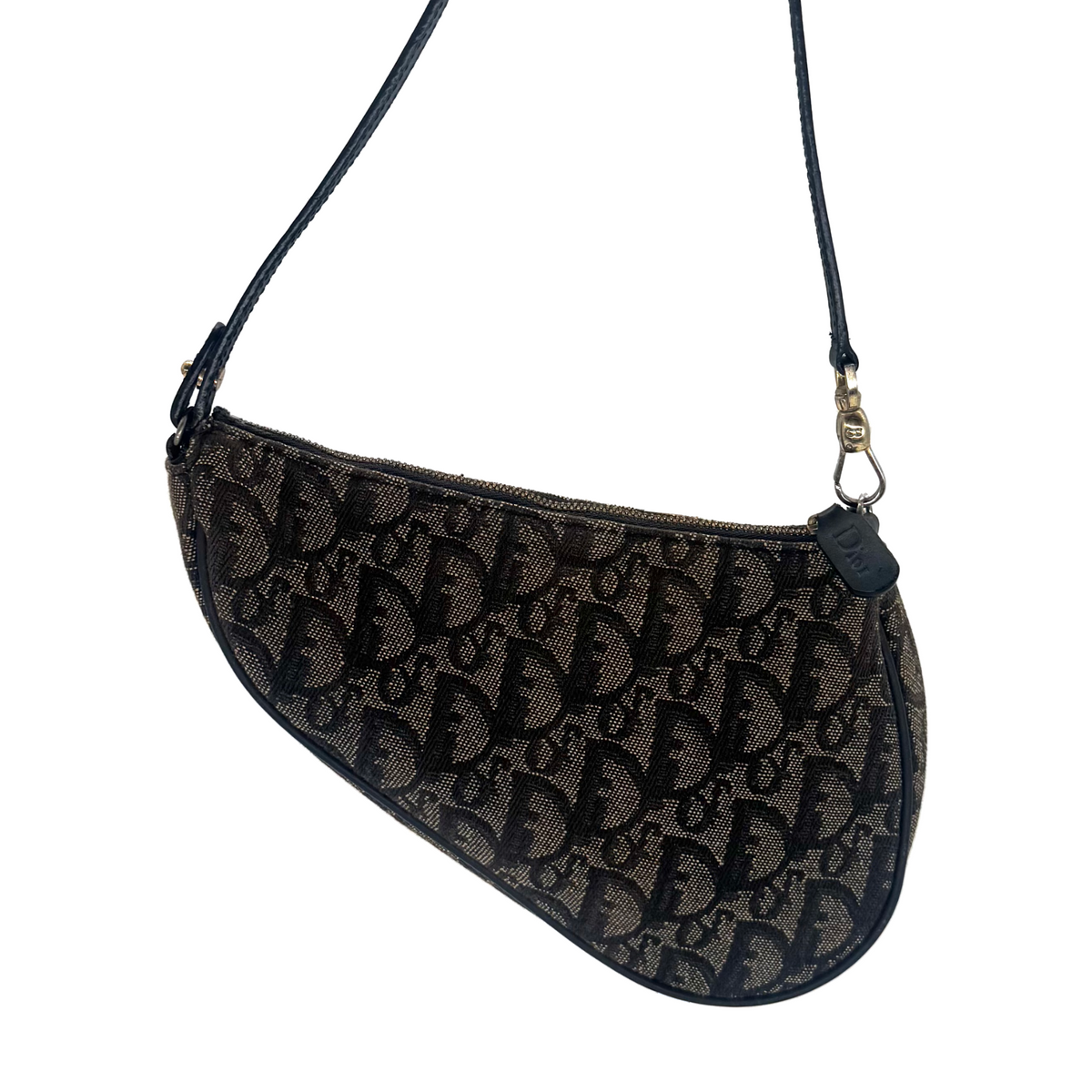 Sac Saddle Dior en toile Oblique, vue de face